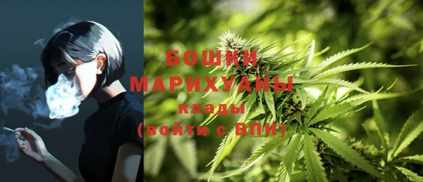 молекула духа Семёнов
